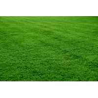 Газонные травы (универсальный, теневой, лилипут, гольф мастер, спортивно-игровой)